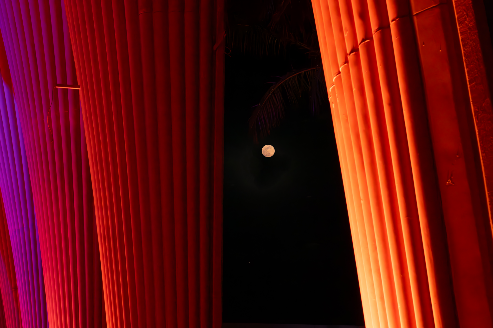 14_01_2025_El_Gouna_Kulturzentrum_Christiane_ElGouna_Photography_DSC_4885-Verbessert-RR_141