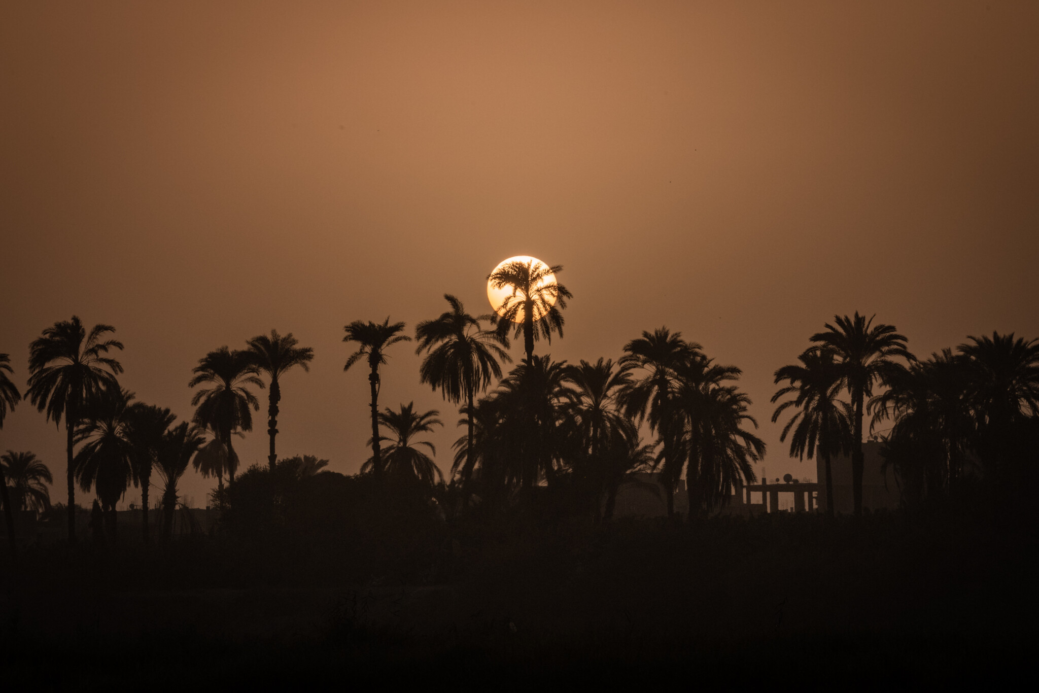 ElGouna_Photography_Luxor_Dez_2021-8113