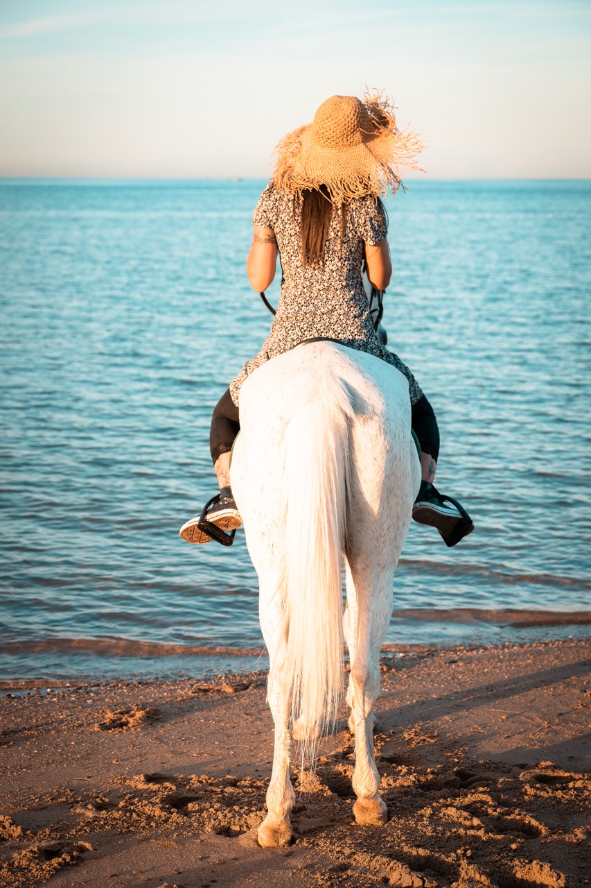 Groß (Reiten_Magdalena_ElGounaPhotography_16122023_6201_452)